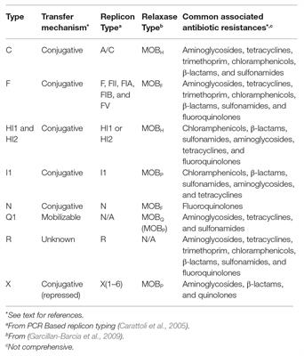 Transferable Plasmids of Salmonella enterica Associated With Antibiotic Resistance Genes